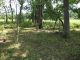 Mt Nebo Baptist Church Cemetery Old, Palestine Township, Cooper, MO.jpg